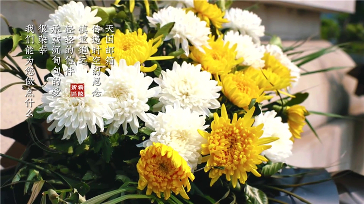 西安閻良區(qū)漢皇樹葬墓園樹葬推薦_生態(tài)安葬的溫馨選擇