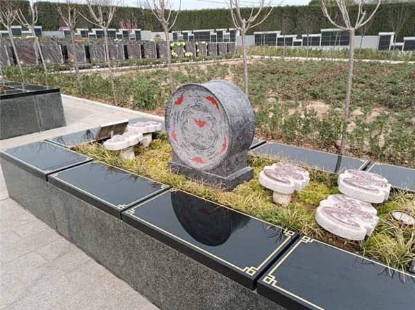 墳地栽松樹距離多少合適?種植規范與風水解析