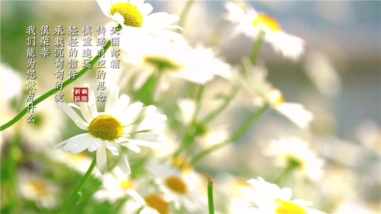 父母墓碑樣式推薦：如何設計符合心意的理想墓碑？