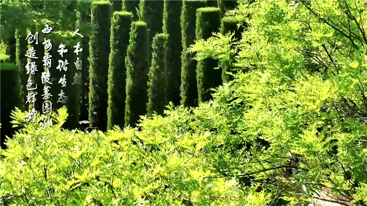 西安臨潼區(qū)墓園推薦_驪山墓園簡介與價(jià)格解析