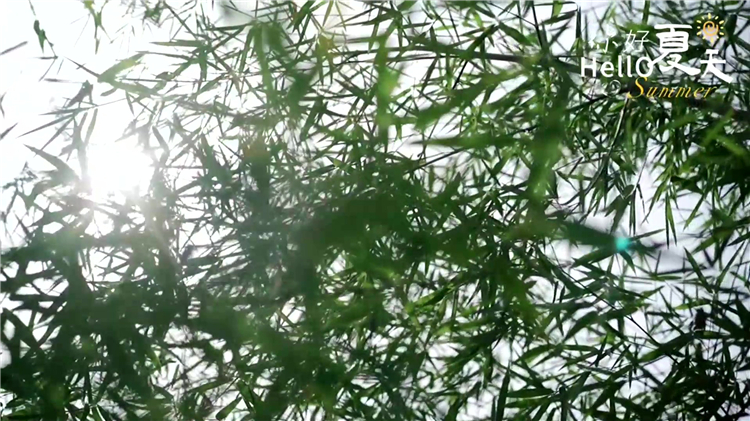 西安漢皇樹葬墓園生態葬全攻略 | 綠色殯葬的多元選擇與價格解析
