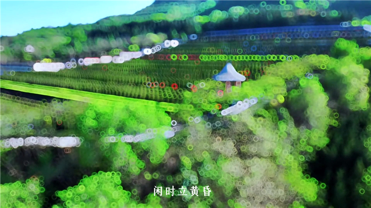 骨灰盒放入墓地是否稱為“下葬”?傳統與現代的定義解析