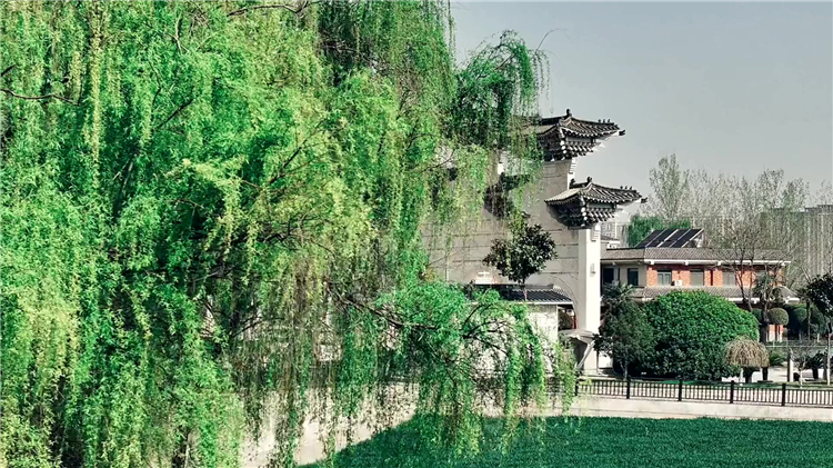 節(jié)地生態(tài)安葬的土地資源節(jié)約效應(yīng)與殯葬改革中環(huán)保理念的應(yīng)用