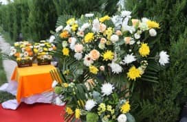 遷墳時祖先遺骸脊骨順序錯亂是否會影響風水?科學解讀與民俗建議