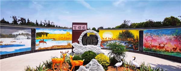 三周年供品擺放肉類的講究與建議