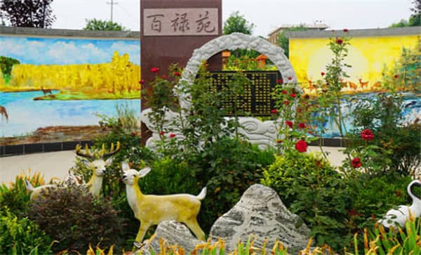 壽衣不能放在餐廳的三個地方?禁忌解析與注意事項