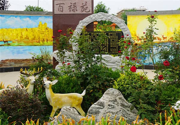 買墓地后墓地的責任與義務_合同條款