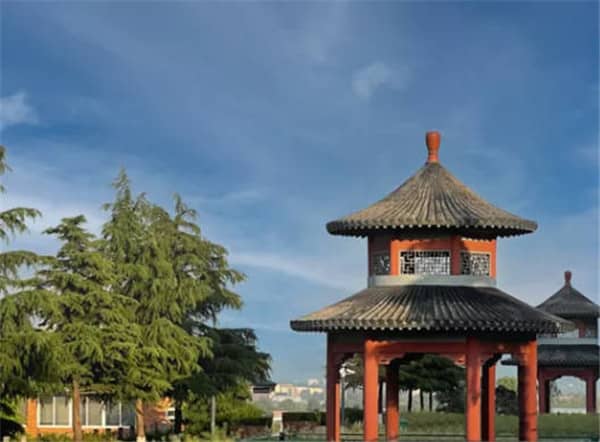 墓園是否有樹葬、花壇葬等生態(tài)葬選項？與傳統(tǒng)墓葬的區(qū)別？