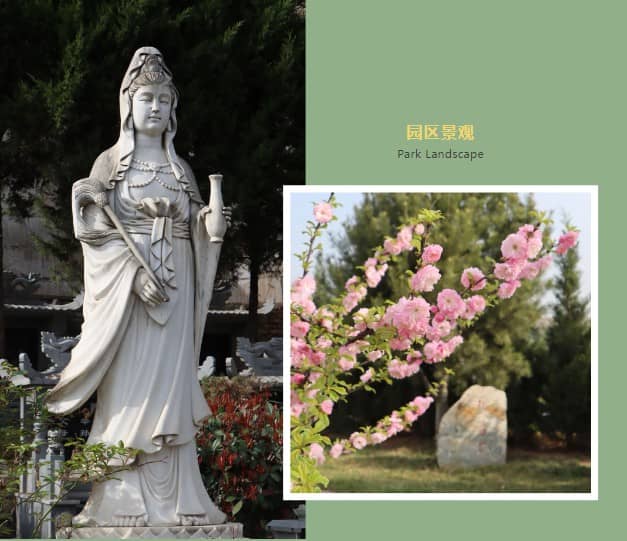 請問墓地銷售的行業前景如何?解析殯葬行業的未來發展