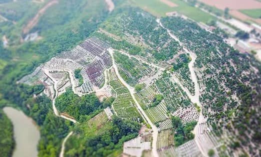 西安市高橋骨灰墓園：緬懷先人，寄托哀思