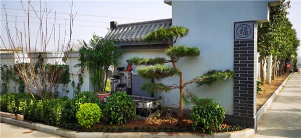 隨葬物品買多了最忌諱三個方面 隨葬品數(shù)量與選擇注意事項