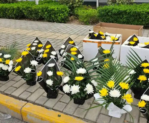 公墓二排六號(hào)好不好？