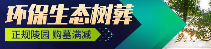 墓地周邊栽樹為何講究雙數?